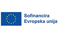 Evropska unija